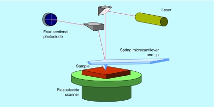 Figure 3. 