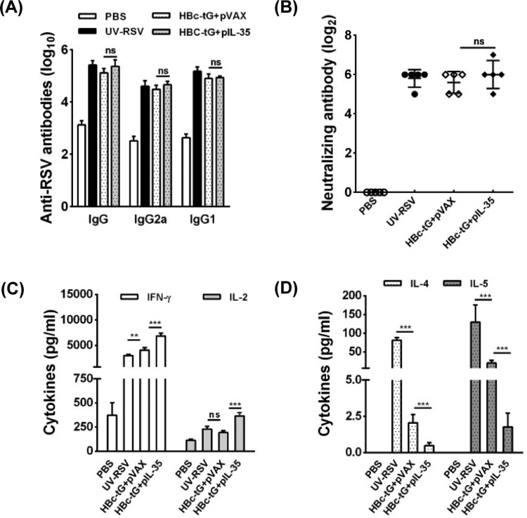 FIG 2