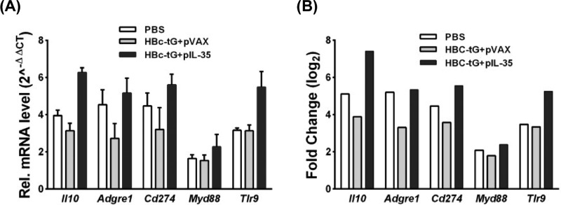 FIG 7