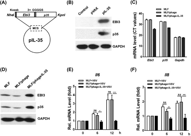 FIG 1