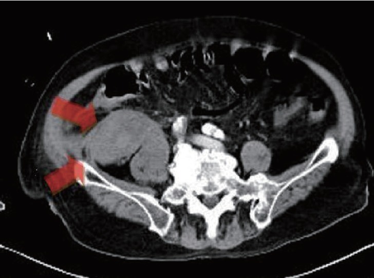 Fig. 5.