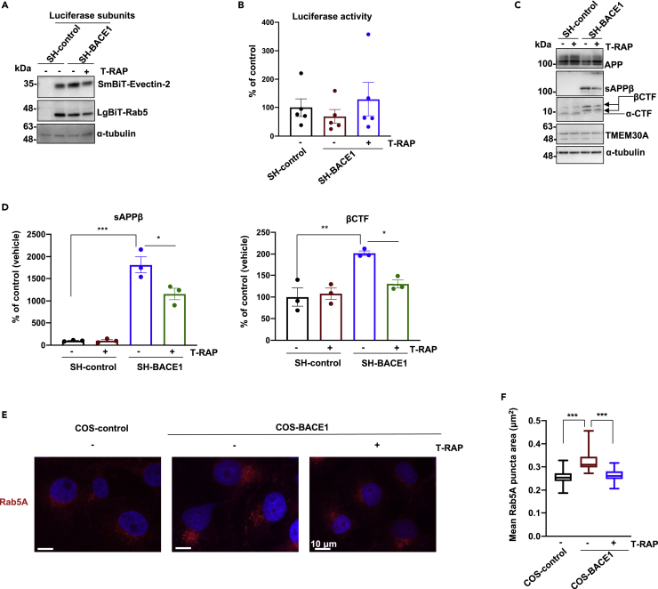 Figure 6
