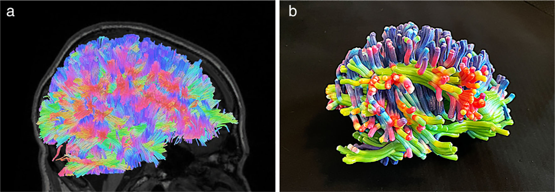 FIGURE 4: