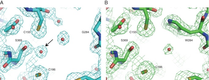 FIGURE 9.