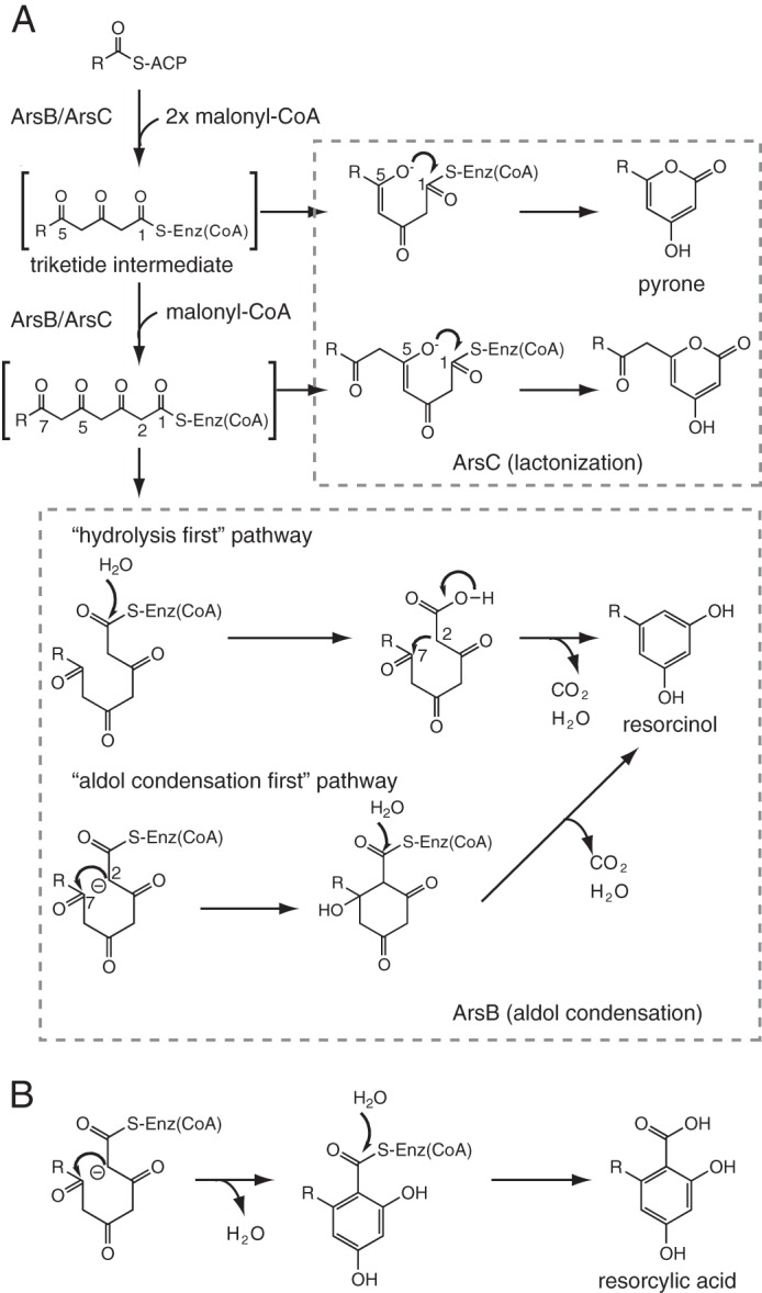 FIGURE 1.