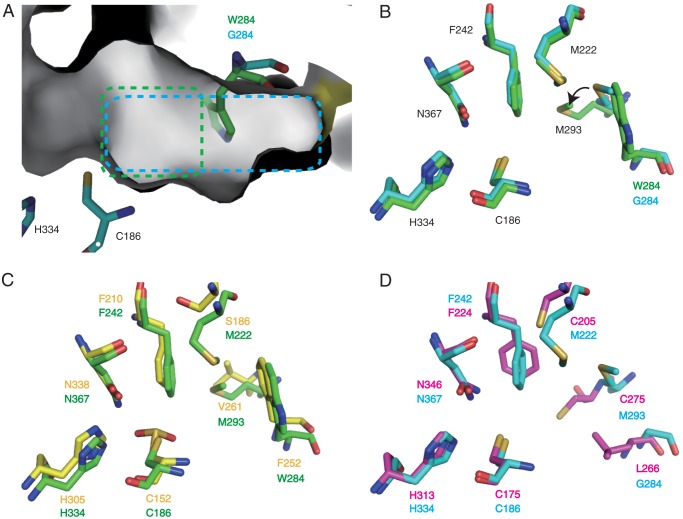 FIGURE 7.