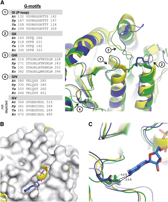 Figure 9.