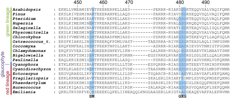 Figure 5.