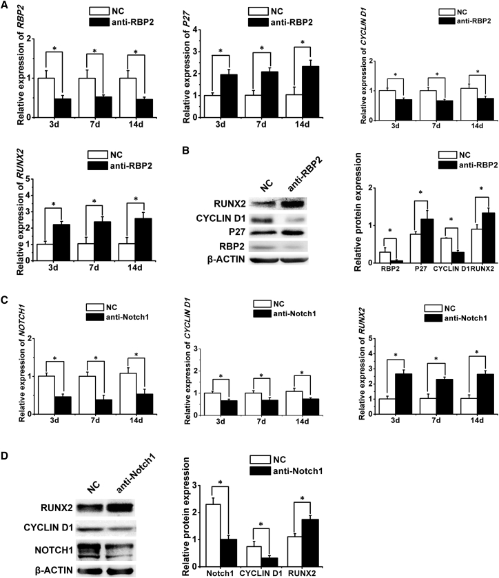 Figure 6