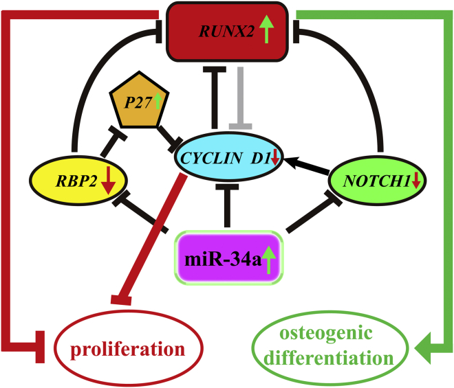 Figure 7