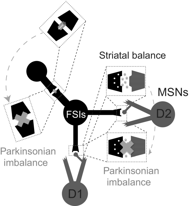 Fig. 6.