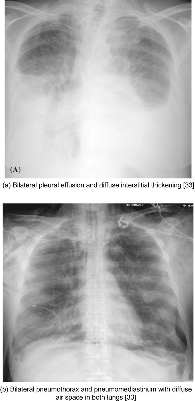 Fig. 5