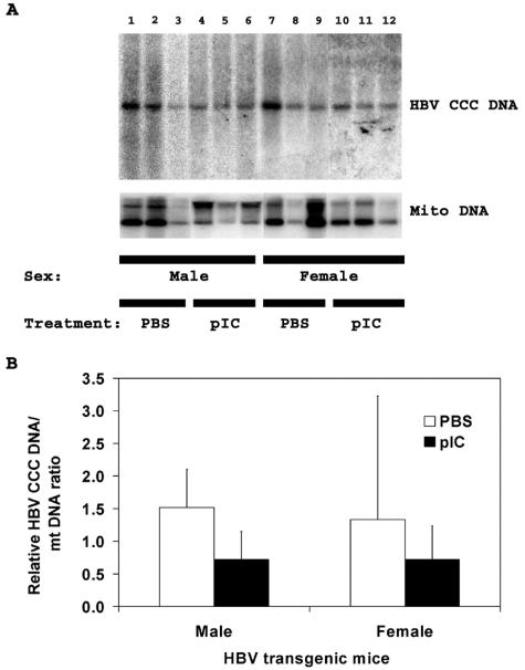 FIG. 5.