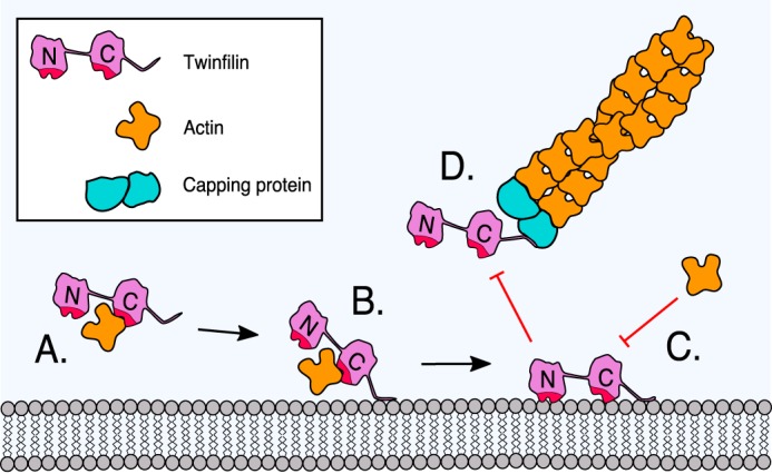 Figure 7.