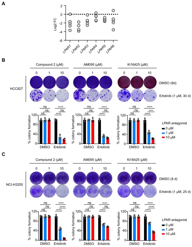 Figure 2—figure supplement 2.