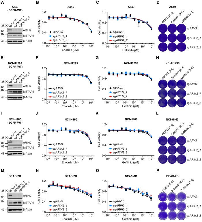 Figure 5—figure supplement 3.