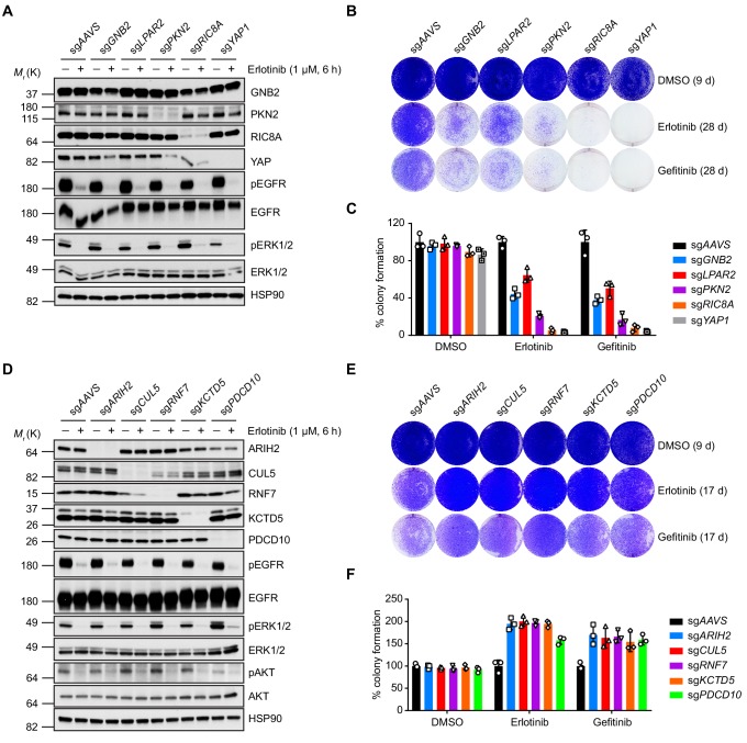 Figure 2—figure supplement 1.