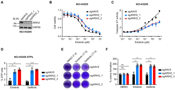 Figure 5—figure supplement 2.