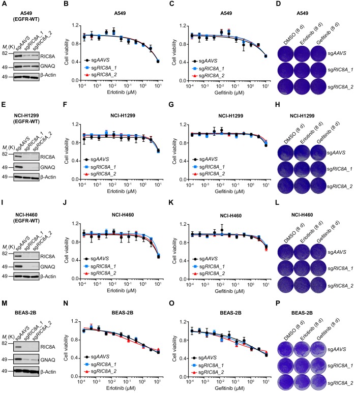 Figure 3—figure supplement 2.