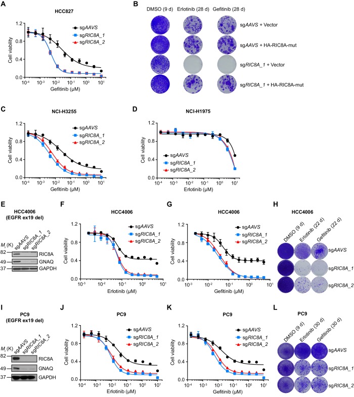 Figure 3—figure supplement 1.