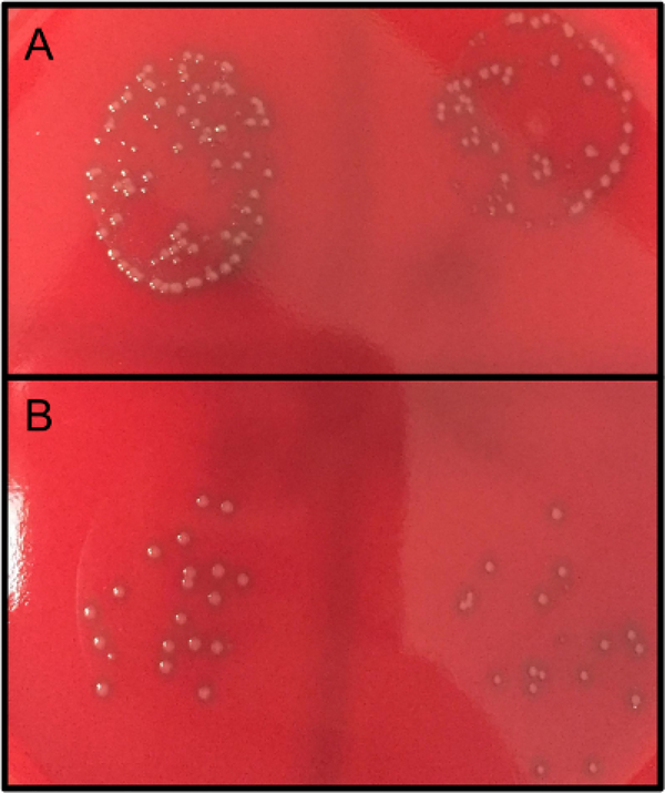 Figure 3: