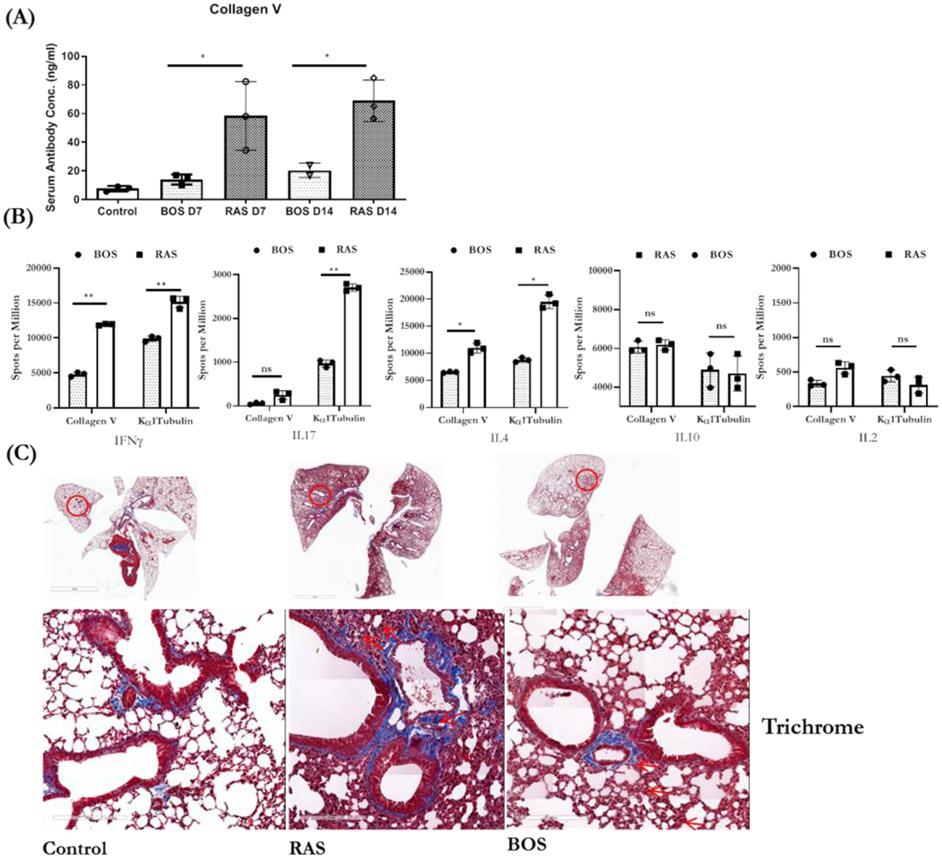 Figure 6: