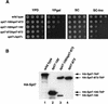 FIG. 6.