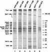 FIG. 5.