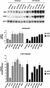 FIG. 9.