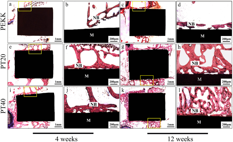 Fig. 10