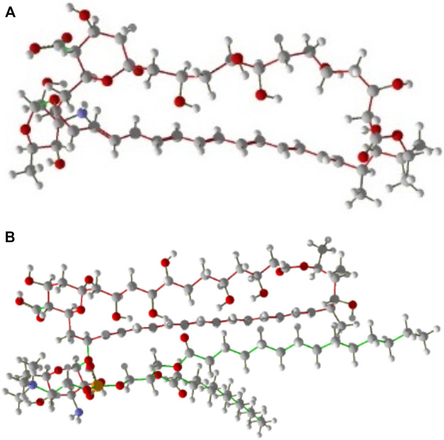 FIGURE 2