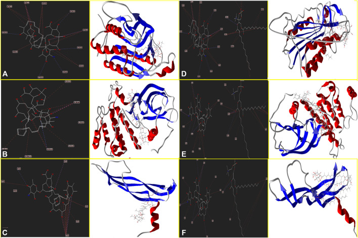 FIGURE 4