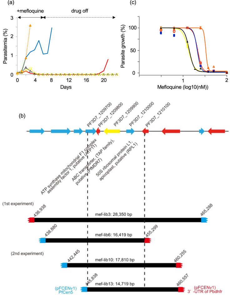 Fig. 3