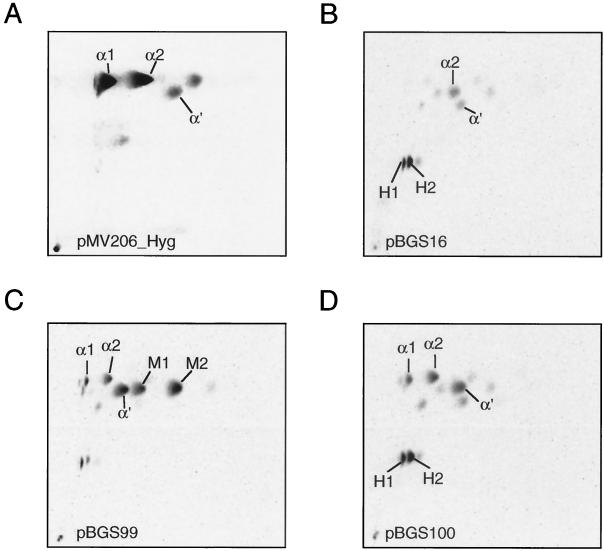 FIG. 4