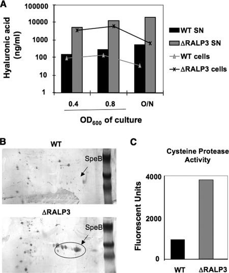 FIG. 4.