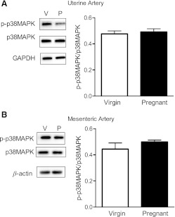 Fig. 9.