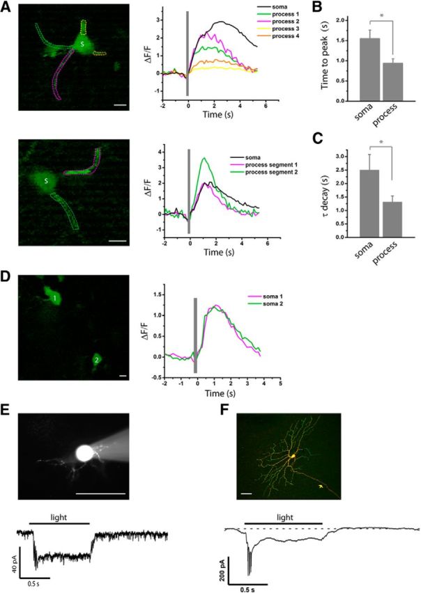 Figure 12.