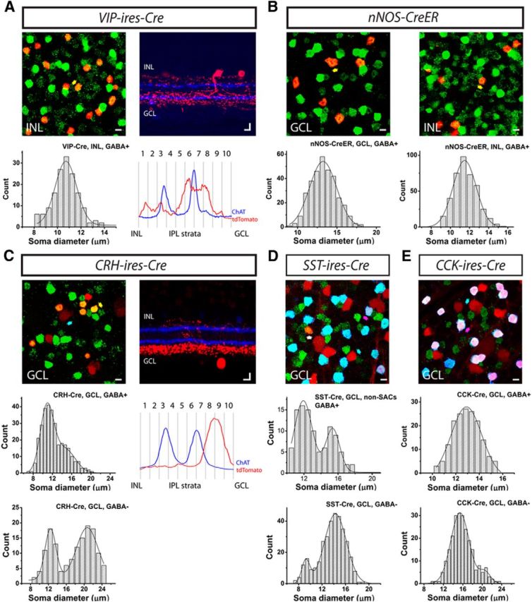 Figure 10.