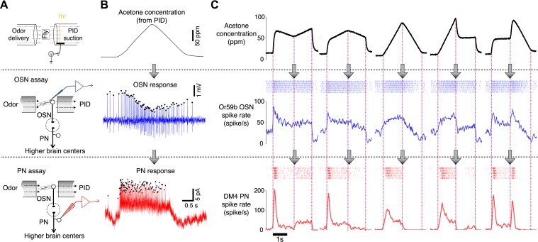 Figure 1.