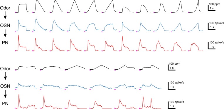 Figure 1—figure supplement 1.