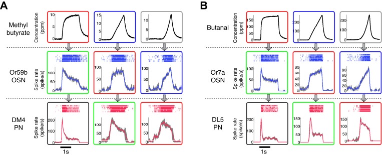 Figure 2—figure supplement 1.