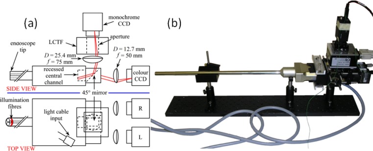 Fig. 1