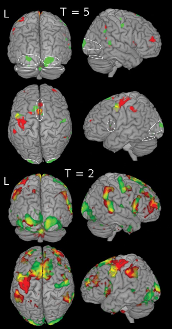 Fig. 4.