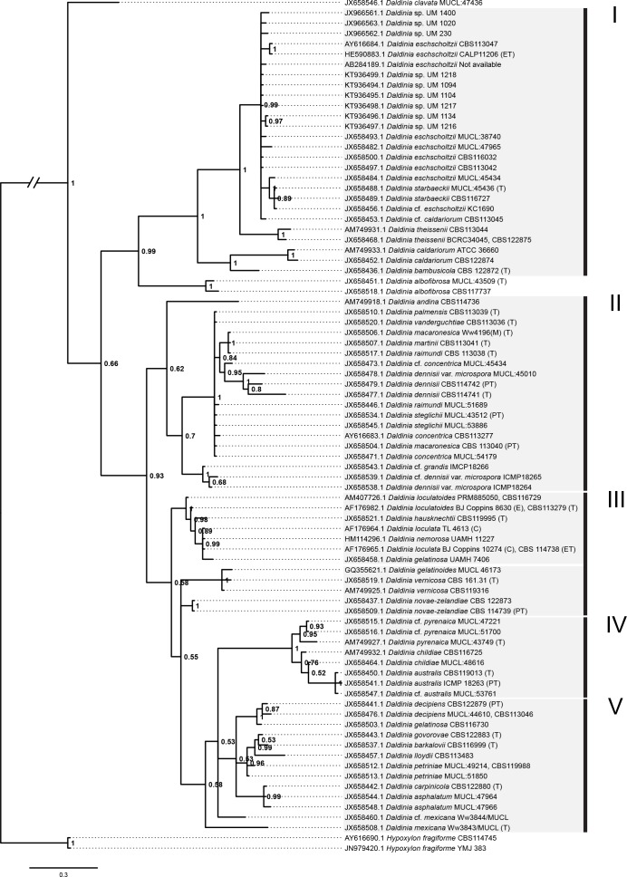 Figure 5