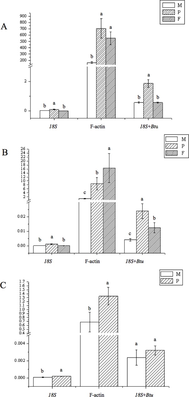 Fig 5