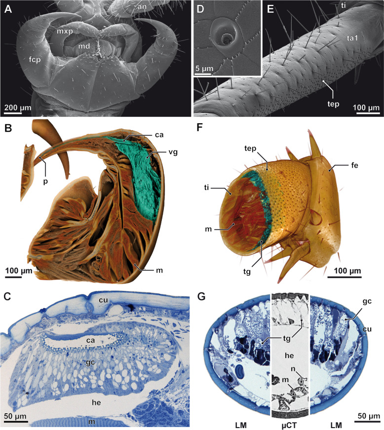 Fig. 2