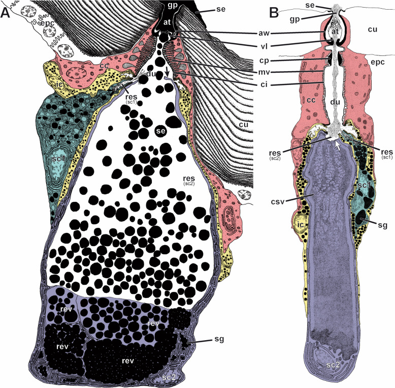 Fig. 3