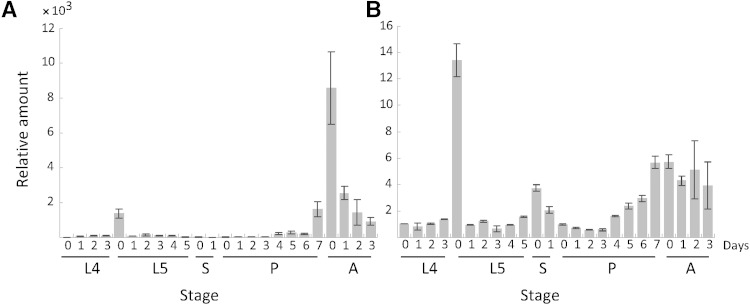 Fig. 8.