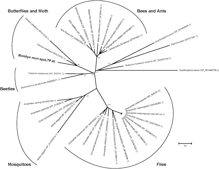 Fig. 5.