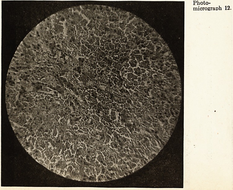 Photomicrograph 12.